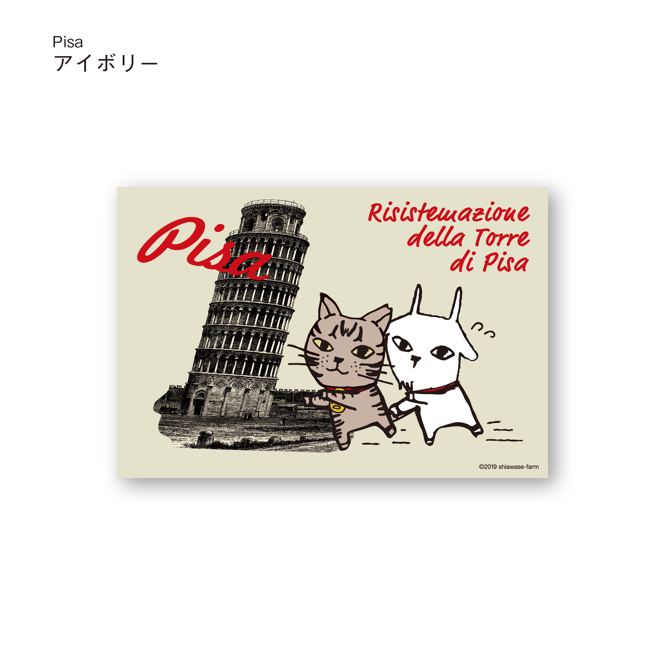 ポストカード　Pisa